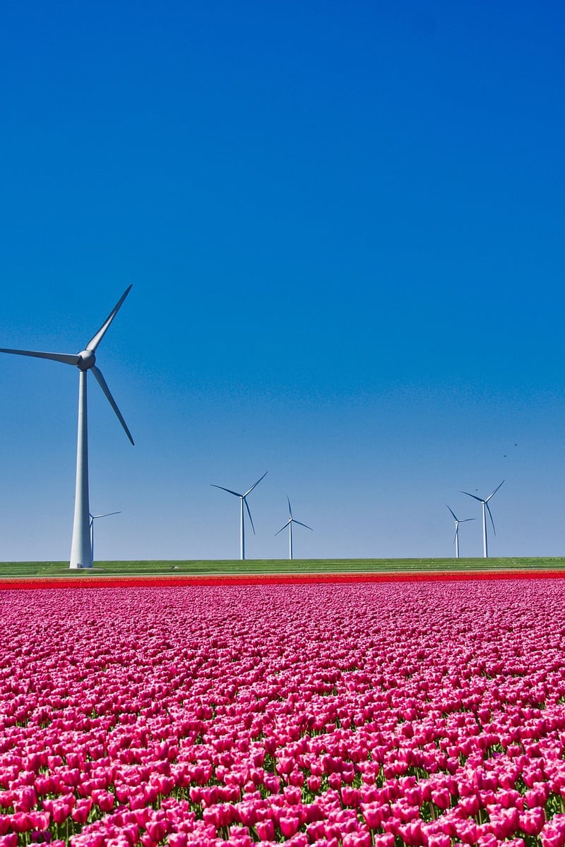 Netherlands Beauty